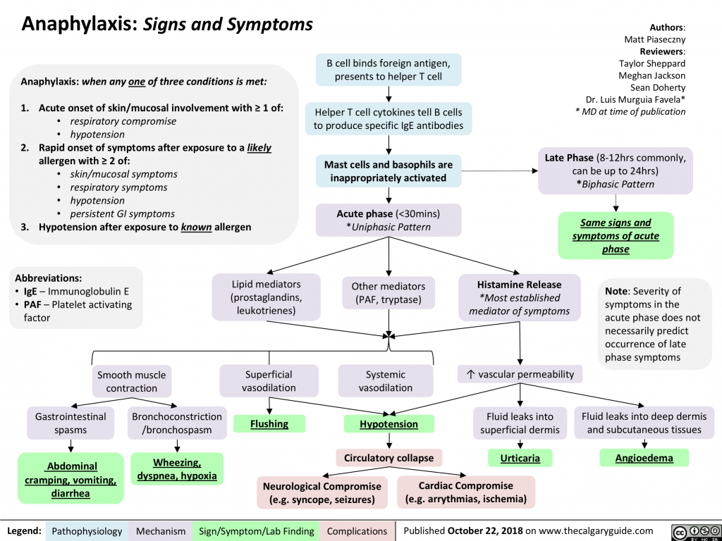 Anaphylaxis: Signs and Symptoms | Calgary Guide