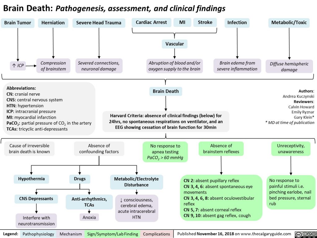 Brain Death Pathogenesis, assessment, and clinical findings Calgary