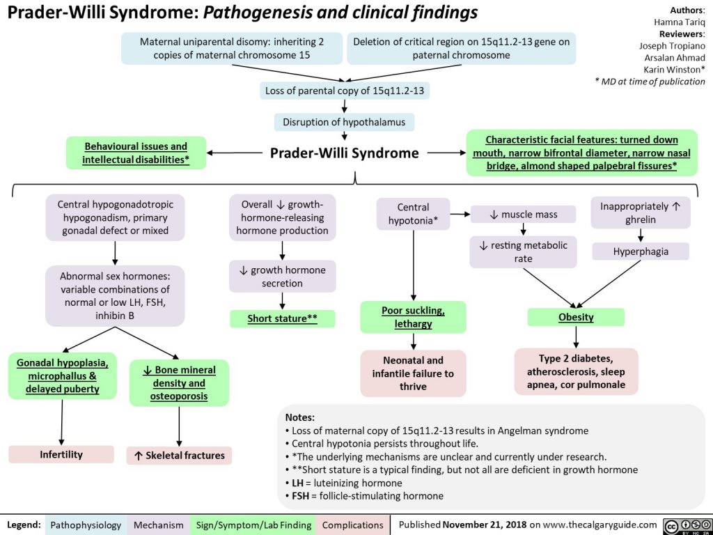 Groundbreaking Discovery: Amazing Findings From **Prader Willi Syndrome Pictures**. - na3svh1