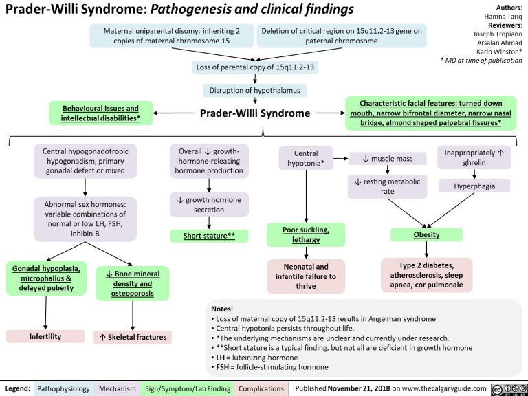 Prader-Willi Syndrome: Pathogenesis and clinical findings | Calgary Guide