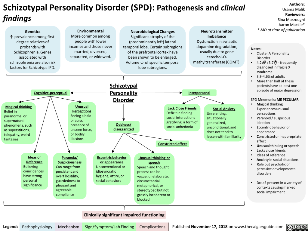 Schizotypal Personality Disorder (SPD): Pathogenesis and clinical ...