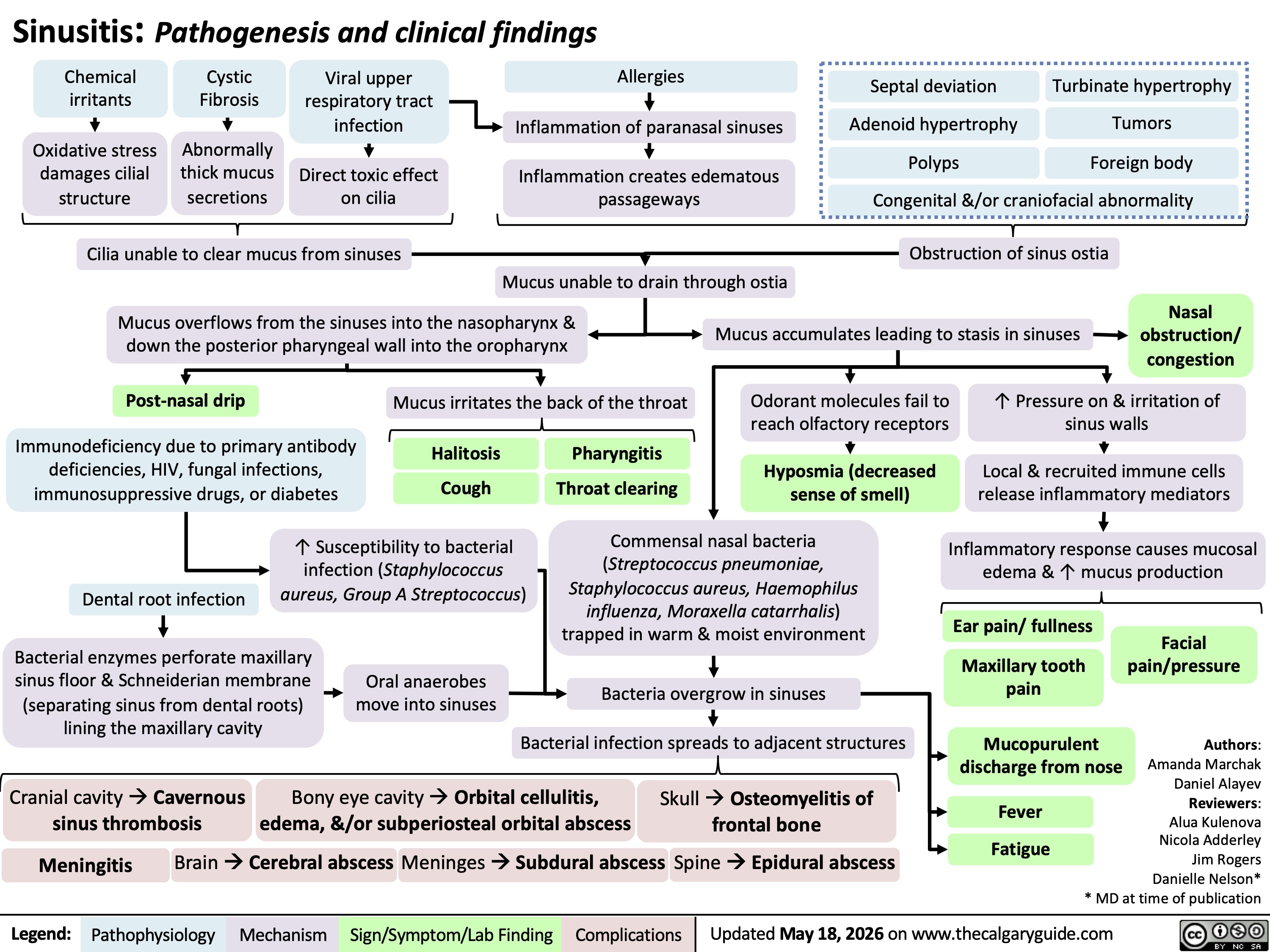 Septal deviation Turbinate hypertrophy
Adenoid hypertrophy
Polyps
Tumors
Foreign body
Congenital &/or craniofacial abnormality
Sinusitis: Pathogenesis and clinical findings
Chemical
irritants
Cystic
Fibrosis
Viral upper
respiratory tract
infection
Allergies
Inflammation of paranasal sinuses
Oxidative stress
damages cilial
structure
Abnormally
thick mucus
secretions
Direct toxic effect
on cilia
Inflammation creates edematous
passageways
Cilia unable to clear mucus from sinuses
Obstruction of sinus ostia
Mucus unable to drain through ostia
Mucus overflows from the sinuses into the nasopharynx &
down the posterior pharyngeal wall into the oropharynx
Mucus accumulates leading to stasis in sinuses
Nasal
obstruction/
congestion
Post-nasal drip Mucus irritates the back of the throat
Odorant molecules fail to
reach olfactory receptors
↑ Pressure on & irritation of
sinus walls
Immunodeficiency due to primary antibody
deficiencies, HIV, fungal infections,
immunosuppressive drugs, or diabetes Cough
Halitosis Pharyngitis
Throat clearing
Hyposmia (decreased
sense of smell)
Local & recruited immune cells
release inflammatory mediators
↑ Susceptibility to bacterial
infection (Staphylococcus
Dental root infection
aureus, Group A Streptococcus)
Commensal nasal bacteria
(Streptococcus pneumoniae,
Staphylococcus aureus, Haemophilus
influenza, Moraxella catarrhalis)
trapped in warm & moist environment
Inflammatory response causes mucosal
edema & ↑ mucus production
Ear pain/ fullness
Bacterial enzymes perforate maxillary
sinus floor & Schneiderian membrane
(separating sinus from dental roots)
lining the maxillary cavity
Facial
pain/pressure
Oral anaerobes
move into sinuses
Bacteria overgrow in sinuses
Maxillary tooth
pain
Bacterial infection spreads to adjacent structures
Mucopurulent
discharge from nose
Cranial cavity à Cavernous
sinus thrombosis
Bony eye cavity à Orbital cellulitis,
edema, &/or subperiosteal orbital abscess
Skull à Osteomyelitis of
frontal bone
Fever
Fatigue
Brain à Cerebral abscess
Meninges à Subdural abscess
Meningitis Spine à Epidural abscess
Authors:
Amanda Marchak
Daniel Alayev
Reviewers:
Alua Kulenova
Nicola Adderley
Jim Rogers
Danielle Nelson*
* MD at time of publication
Updated May 18, 2026 on www.thecalgaryguide.com
Legend: Pathophysiology Mechanism
Sign/Symptom/Lab Finding Complications