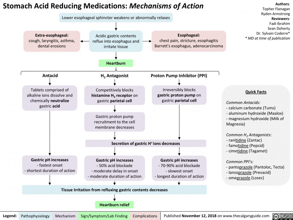 Stomach Acid Reducing Medications: Mechanisms of Action | Calgary Guide