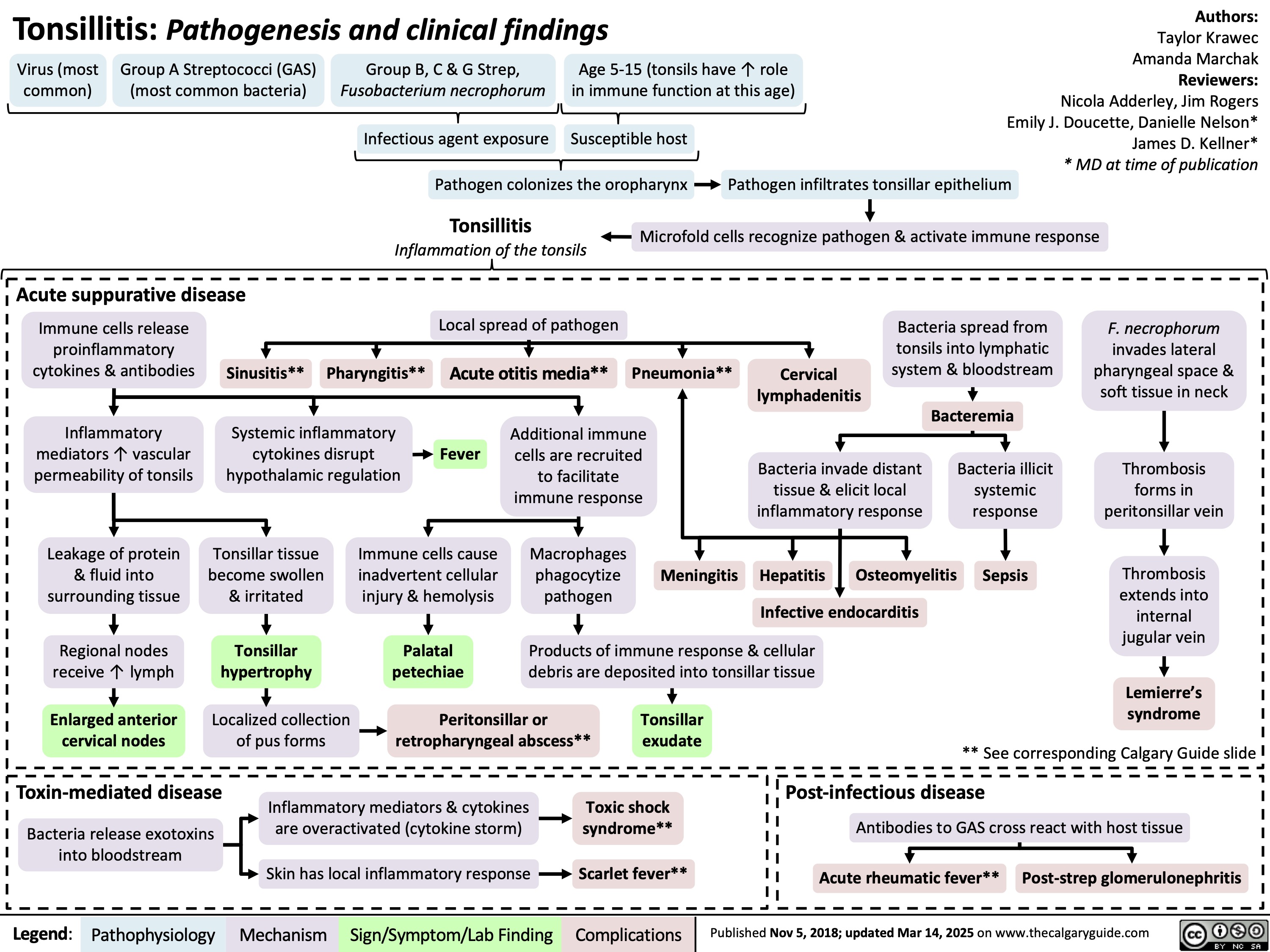 Tonsillitis: Pathogenesis and clinical findings
Authors:
Taylor Krawec Amanda Marchak Reviewers: Nicola Adderley, Jim Rogers Emily J. Doucette, Danielle Nelson* James D. Kellner* * MD at time of publication
Pathogen infiltrates tonsillar epithelium
Microfold cells recognize pathogen & activate immune response
    Virus (most common)
Group A Streptococci (GAS) (most common bacteria)
Group B, C & G Strep,
Fusobacterium necrophorum
Age 5-15 (tonsils have ↑ role in immune function at this age)
Tonsillitis
Inflammation of the tonsils
    Infectious agent exposure
Susceptible host Pathogen colonizes the oropharynx
     Acute suppurative disease
    Immune cells release proinflammatory cytokines & antibodies
Inflammatory mediators ↑ vascular permeability of tonsils
Leakage of protein & fluid into surrounding tissue
Regional nodes receive ↑ lymph
Enlarged anterior cervical nodes
Sinusitis**
Pharyngitis**
Local spread of pathogen
Acute otitis media**
Pneumonia**
Cervical lymphadenitis
Bacteria spread from
tonsils into lymphatic system & bloodstream
Bacteremia
F. necrophorum
invades lateral pharyngeal space & soft tissue in neck
Thrombosis forms in peritonsillar vein
Thrombosis extends into internal jugular vein
Lemierre’s syndrome
               Systemic inflammatory cytokines disrupt hypothalamic regulation
Fever
Additional immune cells are recruited to facilitate immune response
Macrophages phagocytize pathogen
Bacteria invade distant tissue & elicit local inflammatory response
Hepatitis Osteomyelitis
Infective endocarditis
Bacteria illicit systemic response
Sepsis
           Tonsillar tissue become swollen & irritated
Tonsillar hypertrophy
Localized collection of pus forms
Immune cells cause inadvertent cellular injury & hemolysis
Palatal petechiae
Meningitis
        Products of immune response & cellular debris are deposited into tonsillar tissue
     Peritonsillar or Tonsillar retropharyngeal abscess** exudate
** See corresponding Calgary Guide slide
 Toxin-mediated disease
Bacteria release exotoxins into bloodstream
Inflammatory mediators & cytokines are overactivated (cytokine storm)
Skin has local inflammatory response
Toxic shock syndrome**
     Scarlet fever**
 Post-infectious disease
Antibodies to GAS cross react with host tissue
     Acute rheumatic fever** Post-strep glomerulonephritis
Legend:
 Pathophysiology
 Mechanism
Sign/Symptom/Lab Finding
 Complications
 Published Nov 5, 2018; updated Mar 14, 2025 on www.thecalgaryguide.com
    