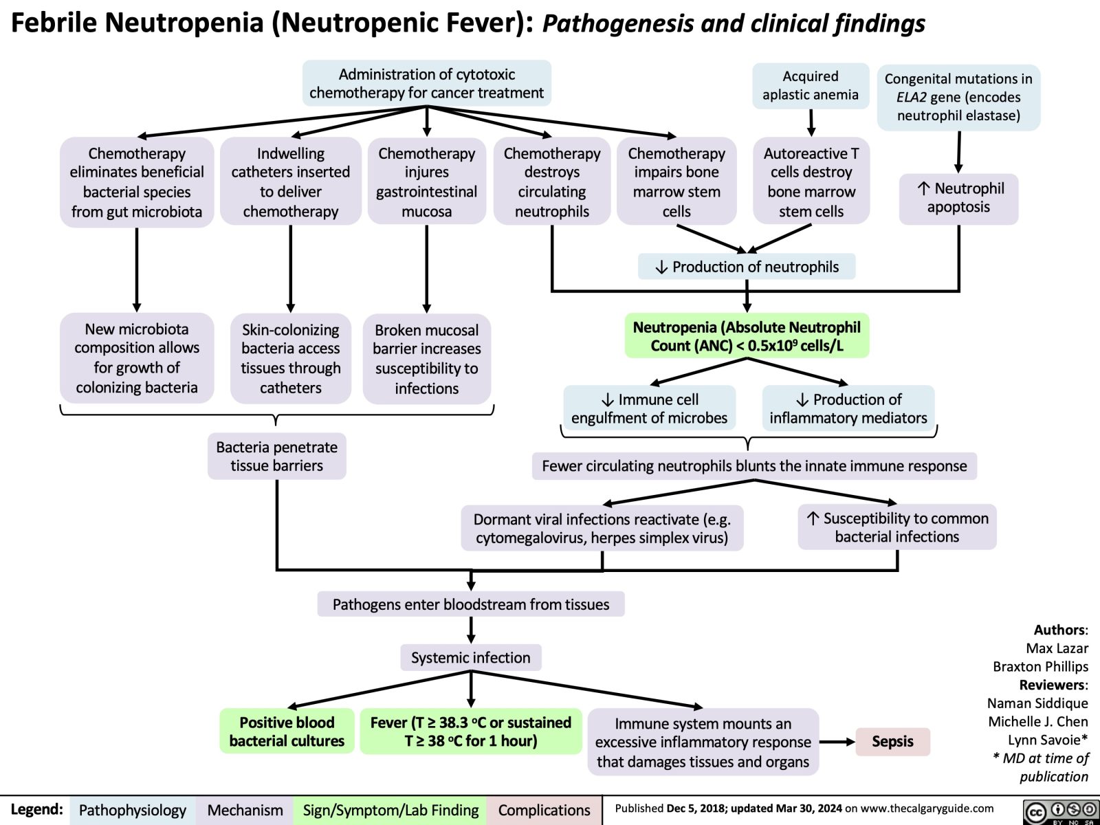 Febrile Neutropenia: Pathogenesis and clinical findings | Calgary Guide