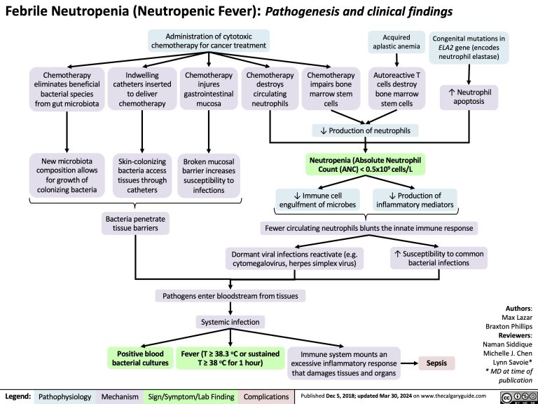 Febrile Neutropenia: Pathogenesis and clinical findings | Calgary Guide