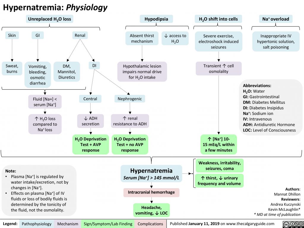 Hypernatremia Physiology Calgary Guide