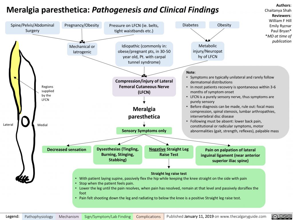 Meralgia Paresthetica Pathogenesis And Clinical Findings Calgary Guide