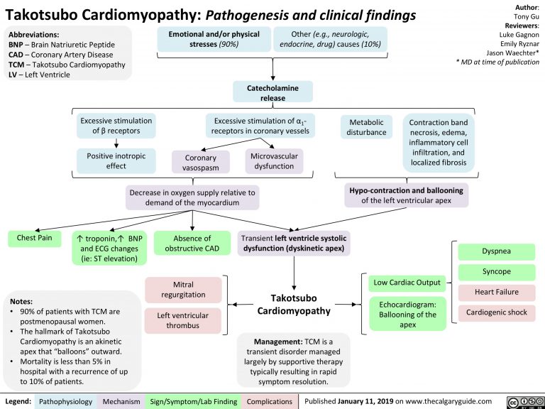 Takotsubo Cardiomyopathy: Pathogenesis and clinical findings | Calgary ...