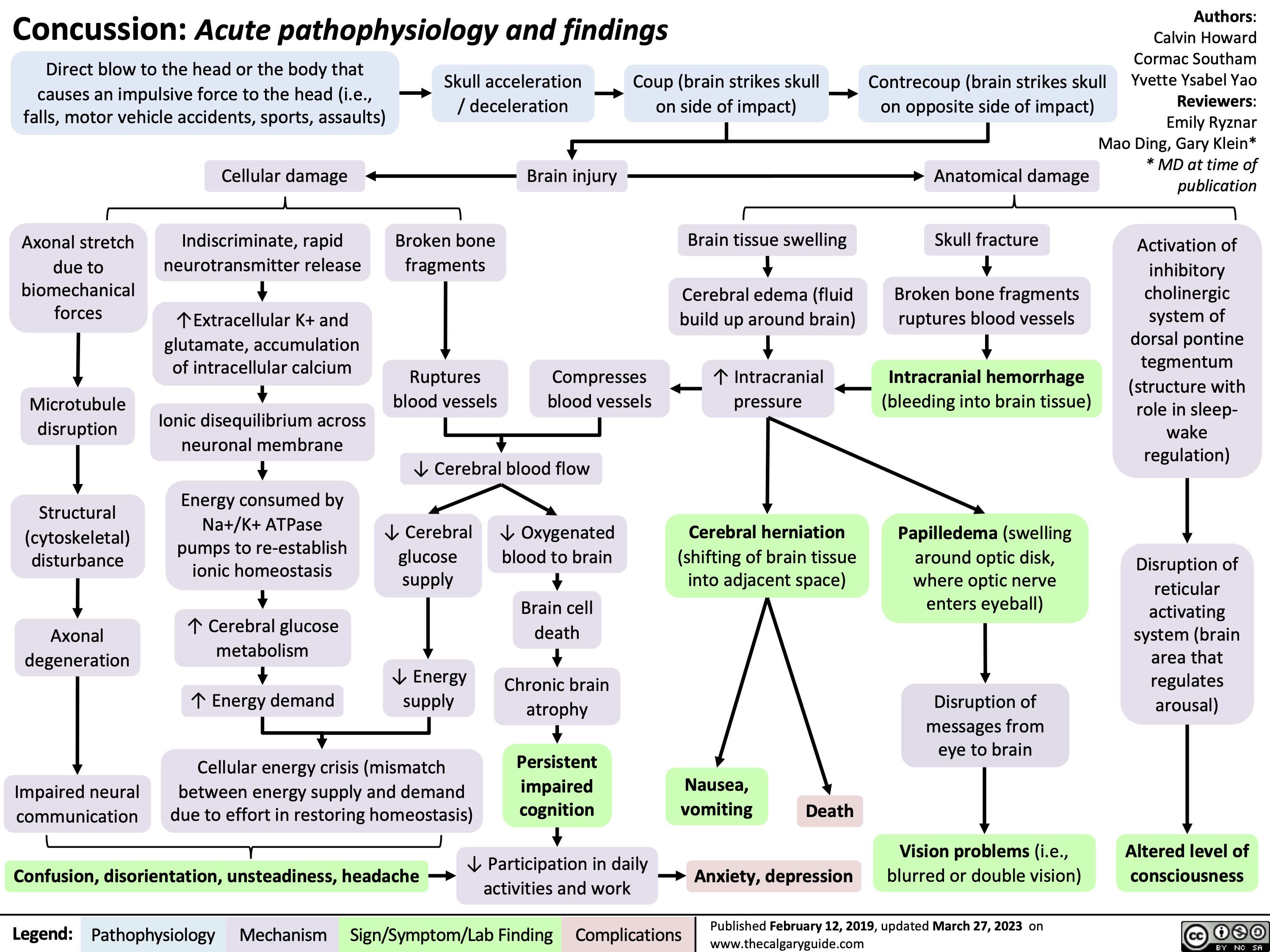 Concussion: Acute pathophysiology and findings
Authors: Calvin Howard Cormac Southam Yvette Ysabel Yao Reviewers: Emily Ryznar Mao Ding, Gary Klein* * MD at time of publication
Activation of inhibitory
cholinergic system of dorsal pontine tegmentum (structure with role in sleep- wake regulation)
Disruption of reticular activating system (brain area that regulates arousal)
Altered level of consciousness
 Direct blow to the head or the body that causes an impulsive force to the head (i.e., falls, motor vehicle accidents, sports, assaults)
Skull acceleration / deceleration
Coup (brain strikes skull on side of impact)
Brain tissue swelling
Cerebral edema (fluid build up around brain)
↑ Intracranial pressure
Cerebral herniation
(shifting of brain tissue into adjacent space)
Contrecoup (brain strikes skull on opposite side of impact)
Anatomical damage
Skull fracture
Broken bone fragments ruptures blood vessels
Intracranial hemorrhage
(bleeding into brain tissue)
Papilledema (swelling around optic disk, where optic nerve enters eyeball)
Disruption of messages from eye to brain
Vision problems (i.e., blurred or double vision)
        Cellular damage
Indiscriminate, rapid neurotransmitter release
↑Extracellular K+ and glutamate, accumulation of intracellular calcium
Ionic disequilibrium across neuronal membrane
Energy consumed by Na+/K+ ATPase pumps to re-establish ionic homeostasis
↑ Cerebral glucose metabolism
↑ Energy demand
Brain injury
          Axonal stretch due to
biomechanical forces
Microtubule disruption
Structural (cytoskeletal) disturbance
Axonal degeneration
Impaired neural communication
Broken bone fragments
Ruptures blood vessels
Compresses blood vessels
               ↓ Cerebral blood flow
        ↓ Cerebral glucose supply
↓ Energy supply
↓ Oxygenated blood to brain
Brain cell death
Chronic brain atrophy
Persistent impaired cognition
                 Cellular energy crisis (mismatch between energy supply and demand due to effort in restoring homeostasis)
Nausea, vomiting
        ↓ Participation in daily Confusion, disorientation, unsteadiness, headache activities and work
Death Anxiety, depression
   Legend:
 Pathophysiology
 Mechanism
Sign/Symptom/Lab Finding
 Complications
Published February 12, 2019, updated March 27, 2023 on www.thecalgaryguide.com
   