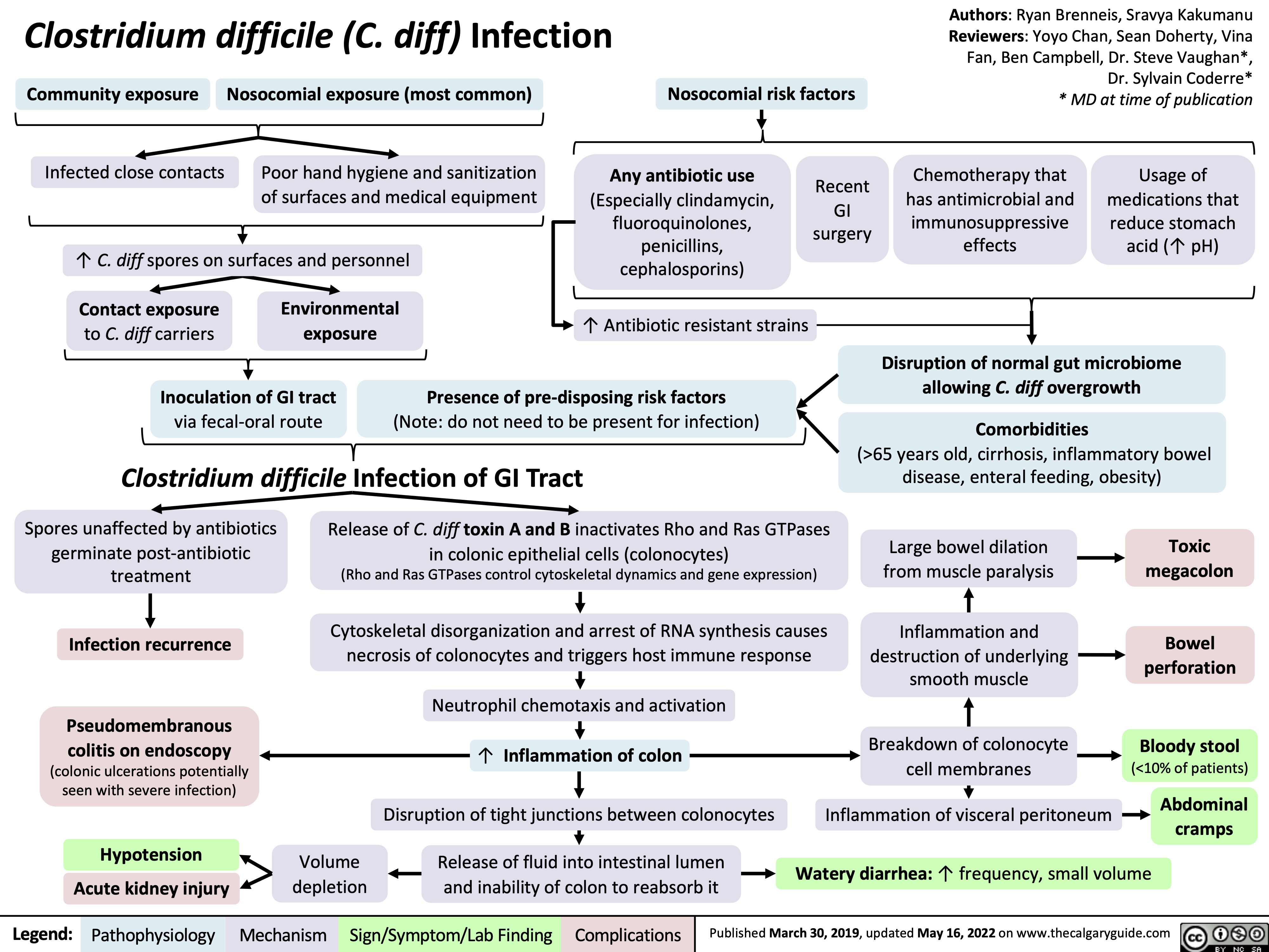 Clostridium difficile (C. diff) Infection
Authors: Ryan Brenneis, Sravya Kakumanu Reviewers: Yoyo Chan, Sean Doherty, Vina Fan, Ben Campbell, Dr. Steve Vaughan*, Dr. Sylvain Coderre* * MD at time of publication
   Community exposure
Infected close contacts
Nosocomial exposure (most common)
Poor hand hygiene and sanitization of surfaces and medical equipment
Nosocomial risk factors
         Any antibiotic use
(Especially clindamycin, fluoroquinolones, penicillins, cephalosporins)
↑ Antibiotic resistant strains
Presence of pre-disposing risk factors
(Note: do not need to be present for infection)
Recent GI surgery
Chemotherapy that has antimicrobial and immunosuppressive effects
Usage of medications that reduce stomach acid (↑ pH)
   ↑ C. diff spores on surfaces and personnel
    Contact exposure
Environmental exposure
 to C. diff carriers
Inoculation of GI tract
Disruption of normal gut microbiome allowing C. diff overgrowth
Comorbidities
(>65 years old, cirrhosis, inflammatory bowel disease, enteral feeding, obesity)
     via fecal-oral route
  Clostridium difficile Infection of GI Tract
    Spores unaffected by antibiotics germinate post-antibiotic treatment
Infection recurrence
Pseudomembranous colitis on endoscopy
(colonic ulcerations potentially seen with severe infection)
Hypotension Acute kidney injury
Release of C. diff toxin A and B inactivates Rho and Ras GTPases in colonic epithelial cells (colonocytes)
(Rho and Ras GTPases control cytoskeletal dynamics and gene expression)
Cytoskeletal disorganization and arrest of RNA synthesis causes necrosis of colonocytes and triggers host immune response
Neutrophil chemotaxis and activation
↑ Inflammation of colon
Disruption of tight junctions between colonocytes
Release of fluid into intestinal lumen and inability of colon to reabsorb it
Toxic megacolon
Bowel perforation
Bloody stool
(<10% of patients)
Abdominal cramps
  Large bowel dilation from muscle paralysis
Inflammation and destruction of underlying smooth muscle
Breakdown of colonocyte cell membranes
Inflammation of visceral peritoneum
                 Volume depletion
Watery diarrhea: ↑ frequency, small volume
   Legend:
 Pathophysiology
Mechanism
Sign/Symptom/Lab Finding
 Complications
 Published March 30, 2019, updated May 16, 2022 on www.thecalgaryguide.com
   