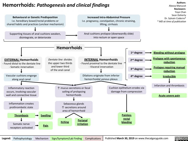 hemorrhoids-pathogenesis-and-clinical-findings-calgary-guide