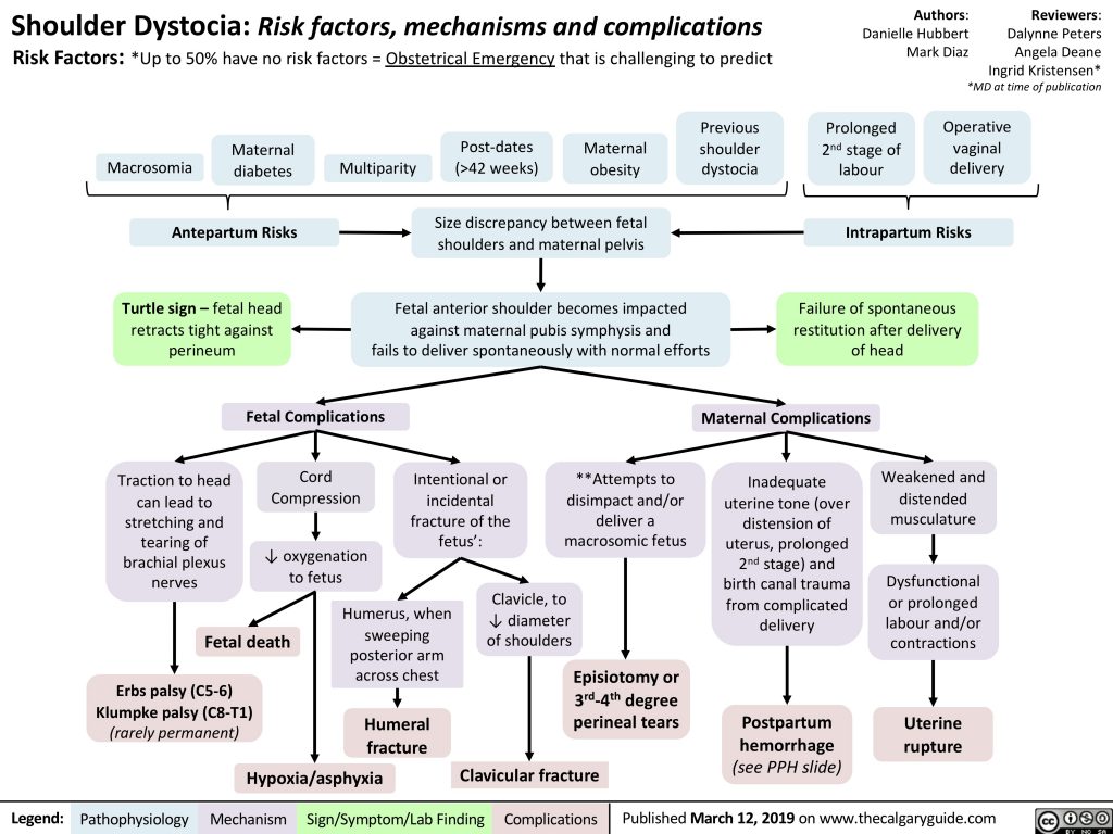 Shoulder Dystocia: Complications | Calgary Guide