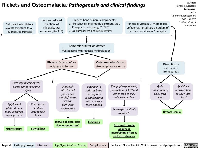 Rickets and Osteomalacia: Pathogenesis and Clinical Findings | Calgary ...