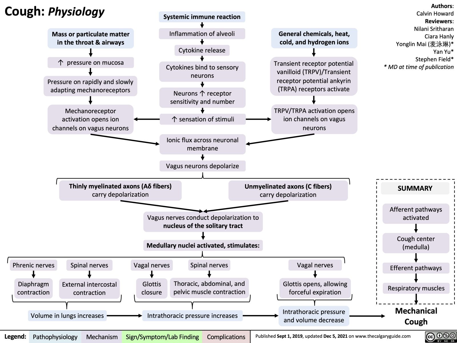 Cough Physiology | Calgary Guide