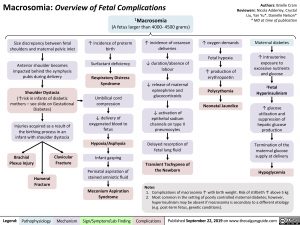 Macrosomia Fetal Complications
