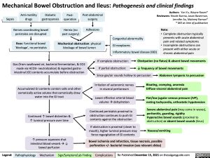 mechanical-bowel-obstruction-and-ileus-pathogenesis-and-clinical-findings