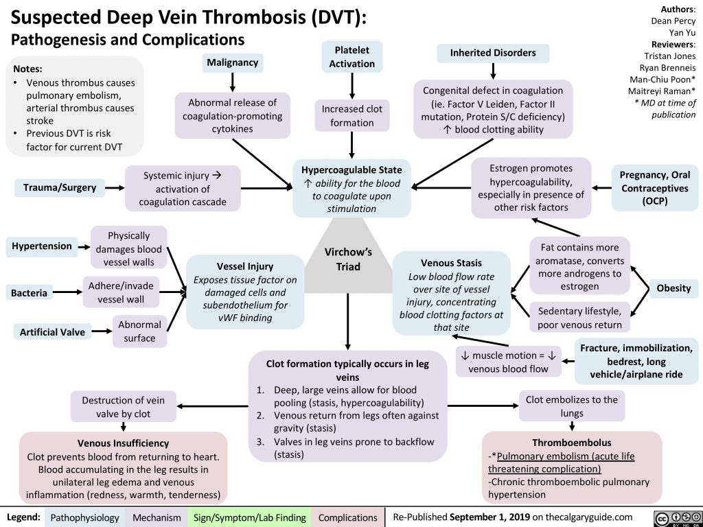 Venous Thromboembolism (VTE) – McMaster Pathophysiology, 49% OFF