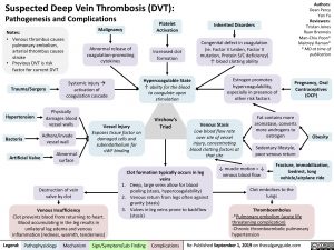 Virchow's Triad and Deep Vein Thrombosis (DVT)