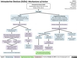 Intrauterine Devices (IUDs): Mechanisms of Action