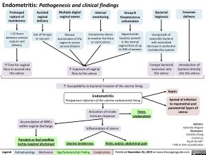 Endometritis: Pathogenesis and clinical findings