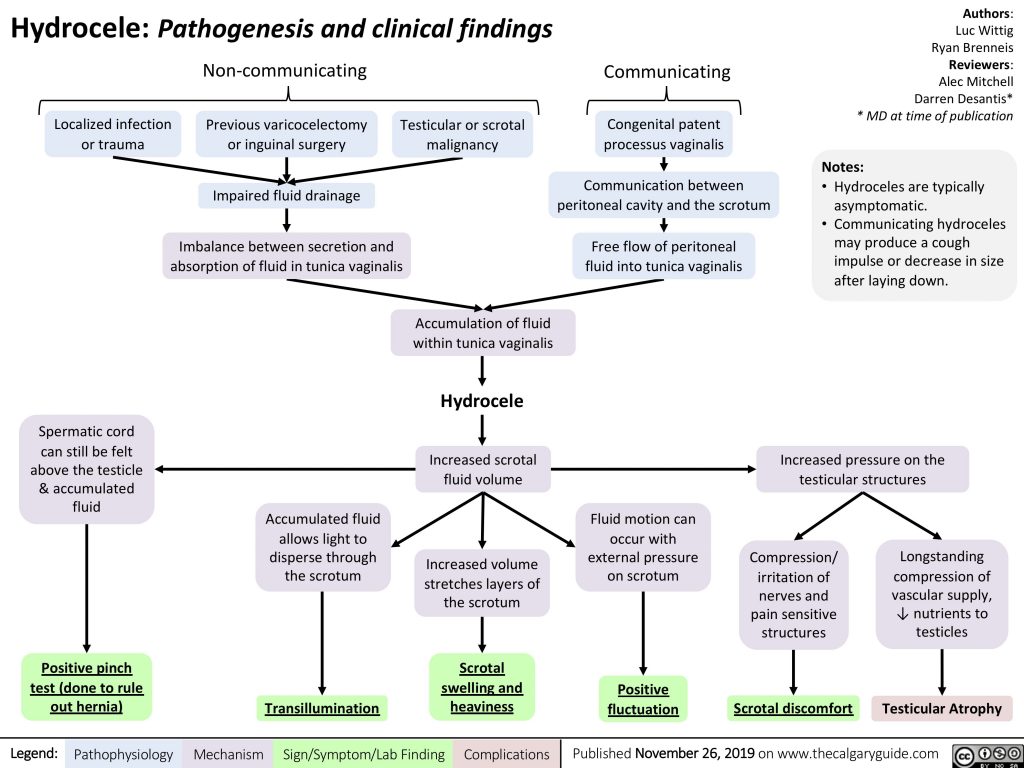 hydrocele-calgary-guide