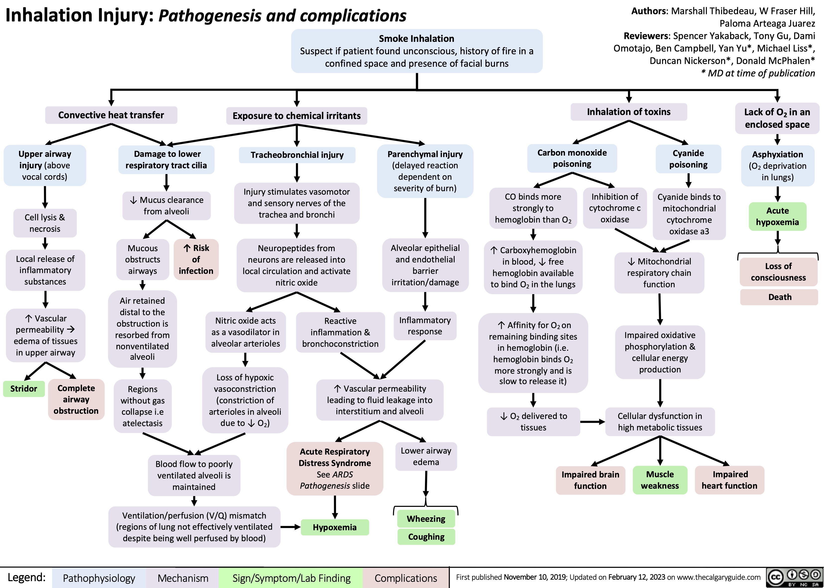 Inhalation Injury: Pathogenesis and complications
Authors: Marshall Thibedeau, W Fraser Hill, Paloma Arteaga Juarez Reviewers: Spencer Yakaback, Tony Gu, Dami Omotajo, Ben Campbell, Yan Yu*, Michael Liss*, Duncan Nickerson*, Donald McPhalen* * MD at time of publication
 Smoke Inhalation
Suspect if patient found unconscious, history of fire in a confined space and presence of facial burns
       Convective heat transfer
Exposure to chemical irritants
Tracheobronchial injury
Injury stimulates vasomotor and sensory nerves of the trachea and bronchi
Neuropeptides from neurons are released into local circulation and activate nitric oxide
Inhalation of toxins
Lack of O2 in an enclosed space
Asphyxiation
(O2 deprivation in lungs)
Acute hypoxemia
Loss of consciousness
Death
             Upper airway injury (above vocal cords)
Cell lysis & necrosis
Local release of inflammatory substances
↑ Vascular permeability à edema of tissues in upper airway
Damage to lower respiratory tract cilia
↓ Mucus clearance from alveoli
Parenchymal injury
(delayed reaction dependent on severity of burn)
Alveolar epithelial and endothelial barrier irritation/damage
Inflammatory response
Carbon monoxide poisoning
Cyanide poisoning
Cyanide binds to mitochondrial cytochrome oxidase a3
     CO binds more strongly to hemoglobin than O2
↑ Carboxyhemoglobin in blood, ↓ free hemoglobin available to bind O2 in the lungs
↑ Affinity for O2 on remaining binding sites in hemoglobin (i.e. hemoglobin binds O2 more strongly and is slow to release it)
↓ O2 delivered to tissues
Inhibition of cytochrome c oxidase
          Mucous obstructs airways
Air retained
distal to the obstruction is resorbed from nonventilated alveoli
Regions without gas collapse i.e atelectasis
↑ Risk of infection
↓ Mitochondrial respiratory chain function
Impaired oxidative phosphorylation & cellular energy production
Cellular dysfunction in high metabolic tissues
             Nitric oxide acts as a vasodilator in alveolar arterioles
Loss of hypoxic vasoconstriction (constriction of arterioles in alveoli due to ↓ O2)
Reactive inflammation & bronchoconstriction
       Stridor
Complete airway obstruction
↑ Vascular permeability leading to fluid leakage into interstitium and alveoli
           Blood flow to poorly ventilated alveoli is maintained
Ventilation/perfusion (V/Q) mismatch (regions of lung not effectively ventilated despite being well perfused by blood)
Acute Respiratory Distress Syndrome See ARDS Pathogenesis slide
Hypoxemia
Lower airway edema
Wheezing Coughing
Impaired brain function
Muscle weakness
Impaired heart function
         Legend:
 Pathophysiology
Mechanism
Sign/Symptom/Lab Finding
 Complications
 First published November 10, 2019; Updated on February 12, 2023 on www.thecalgaryguide.com
   