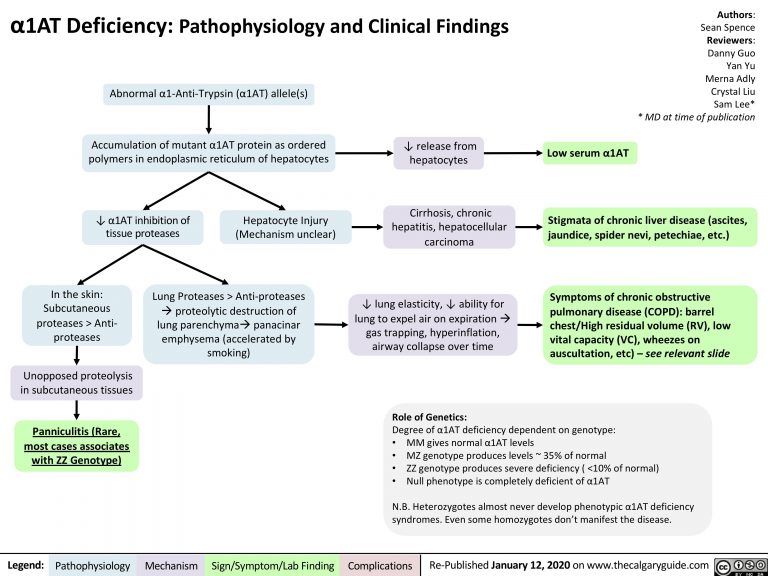 A1AT Deficiency | Calgary Guide