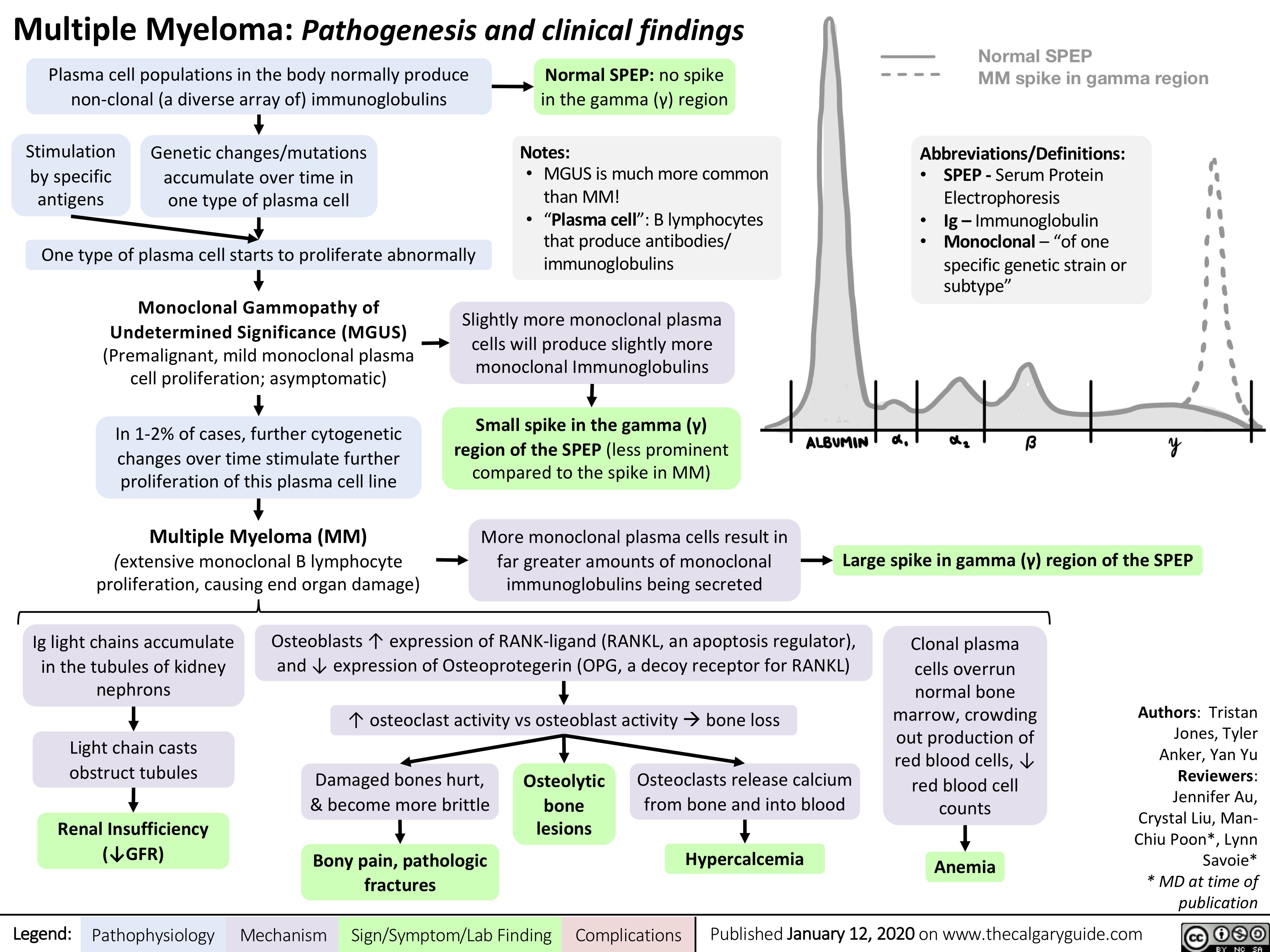 multiple-myeloma-diag2tec-preclinical-cro-in-mm