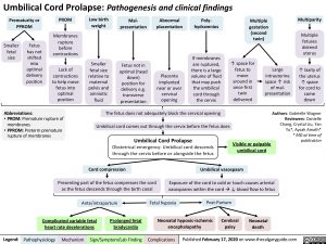 Umbilical-Cord-Prolapse