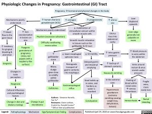 GI changes during pregnancy