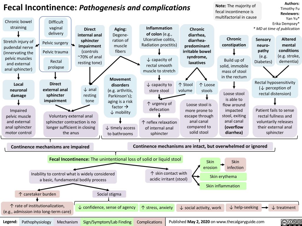 Fecal Incontinence Calgary Guide