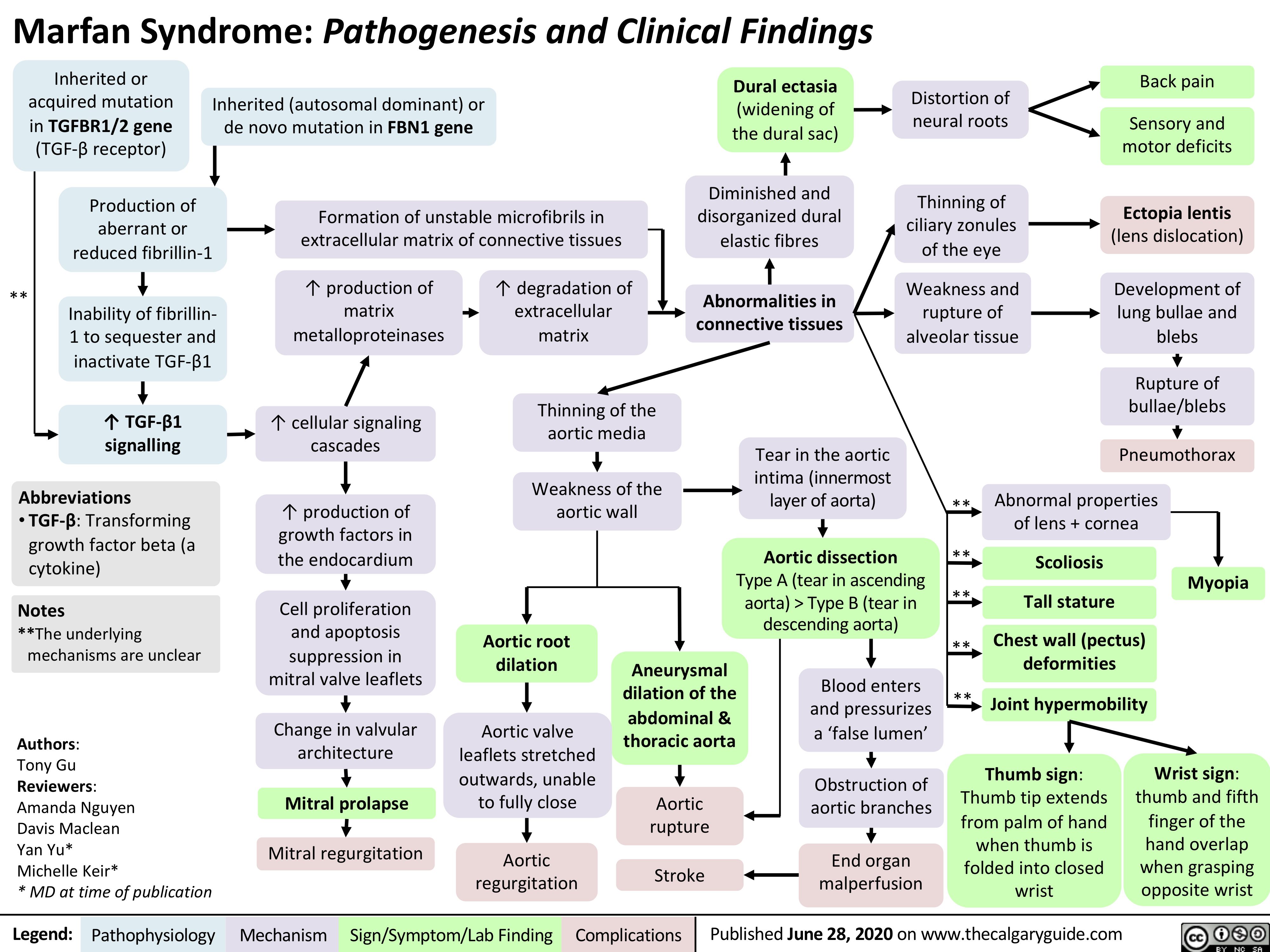 marfan syndrome case study answer key