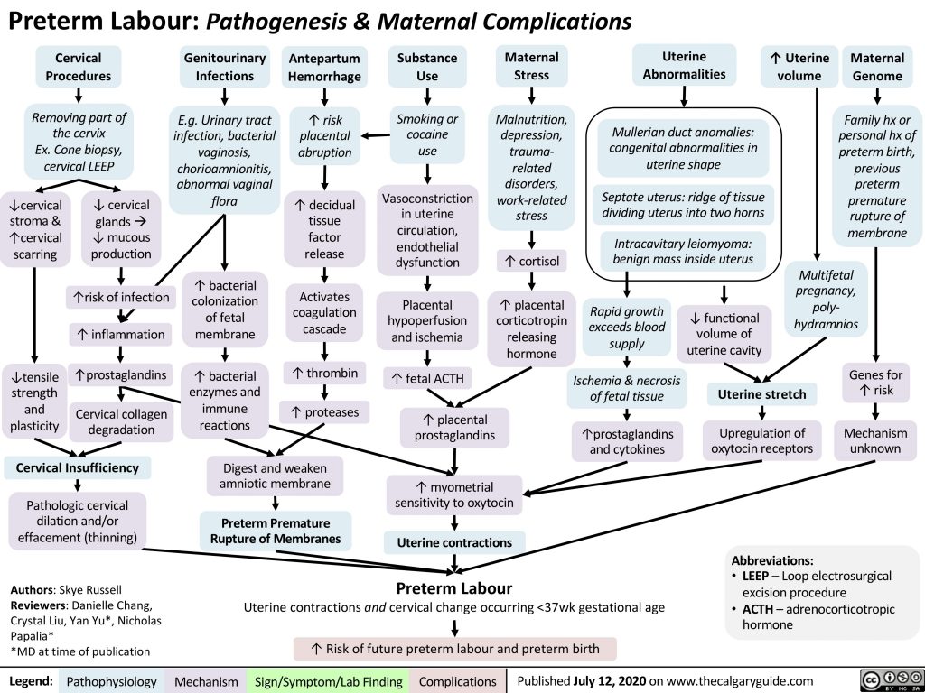 What Is Preterm Labour