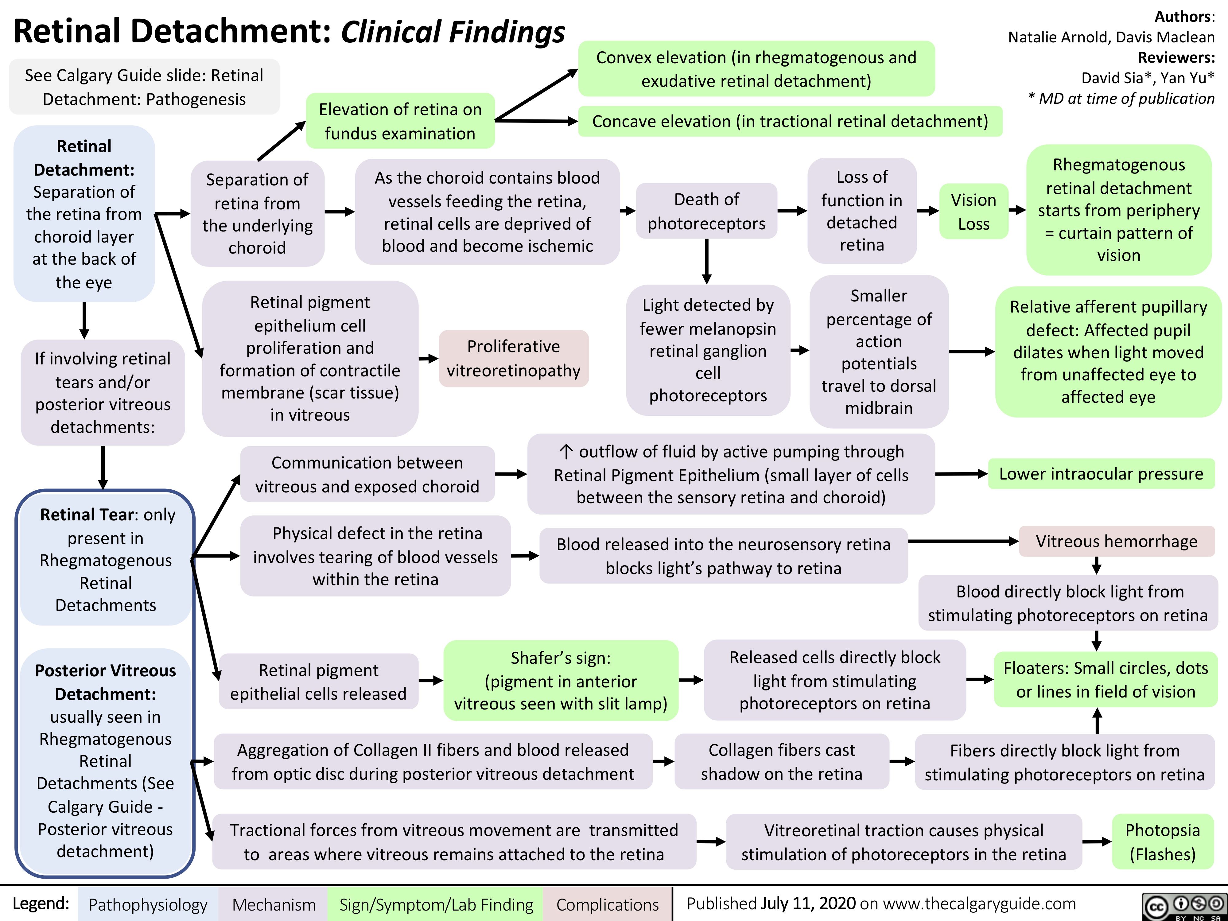 retinal-detachment-clinical-findings-calgary-guide