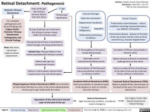 Retinal Detachment: Pathogenesis