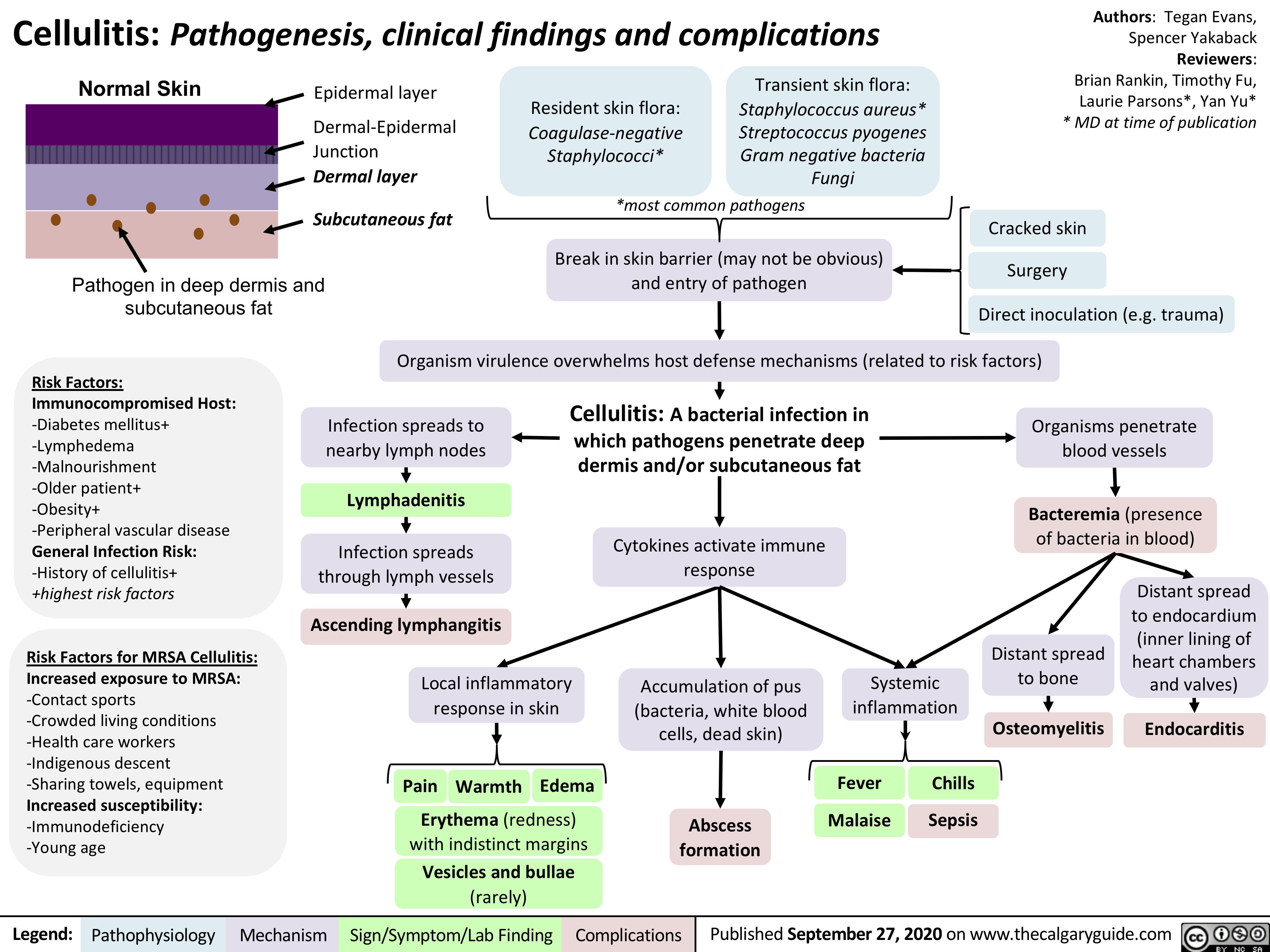 Patho Map Cellulitis Pathophysiology Concept Map Disease Process ...