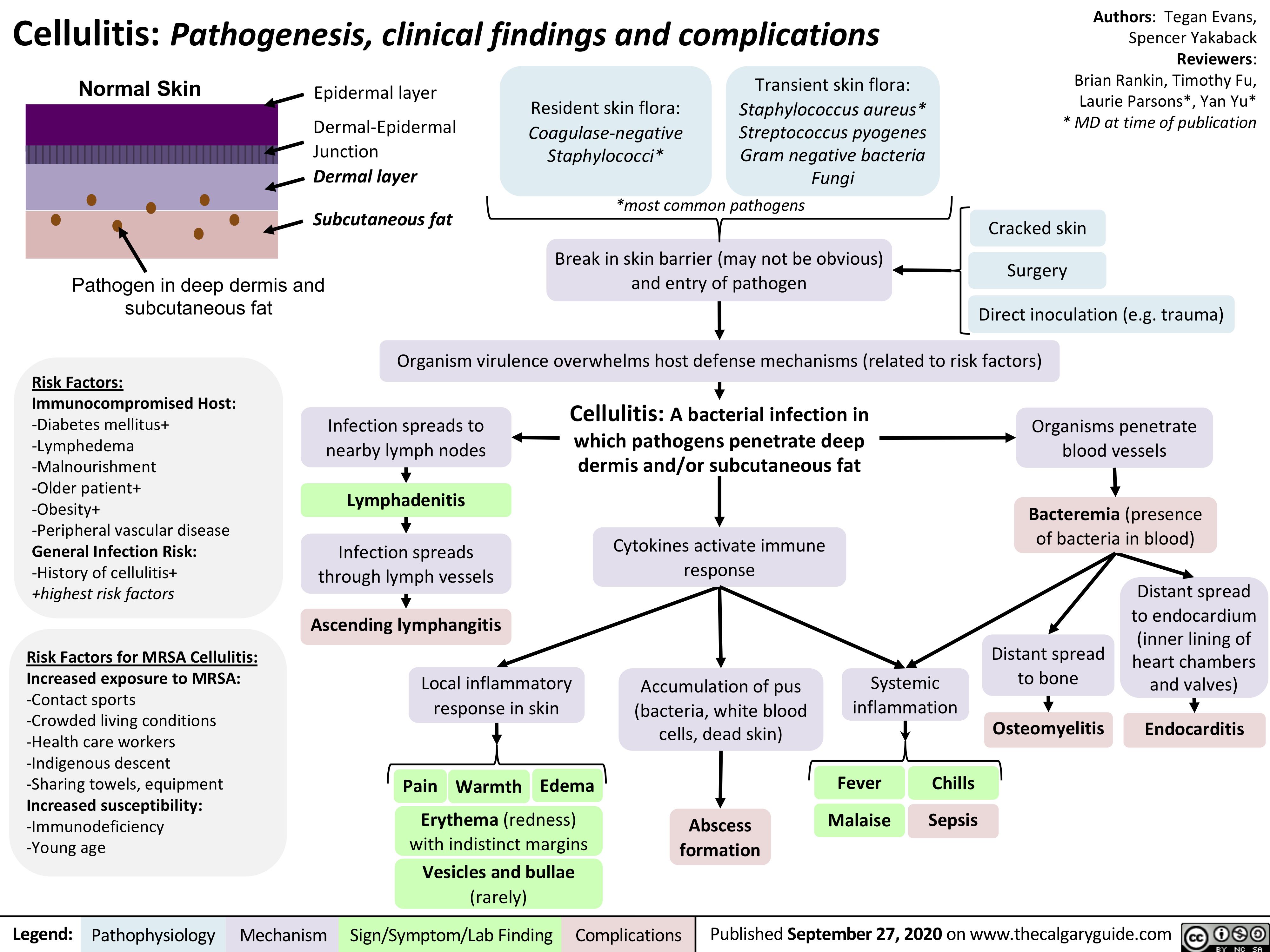 Patho Map Cellulitis Pathophysiology Concept Map Disease Process Sexiz Pix 3675