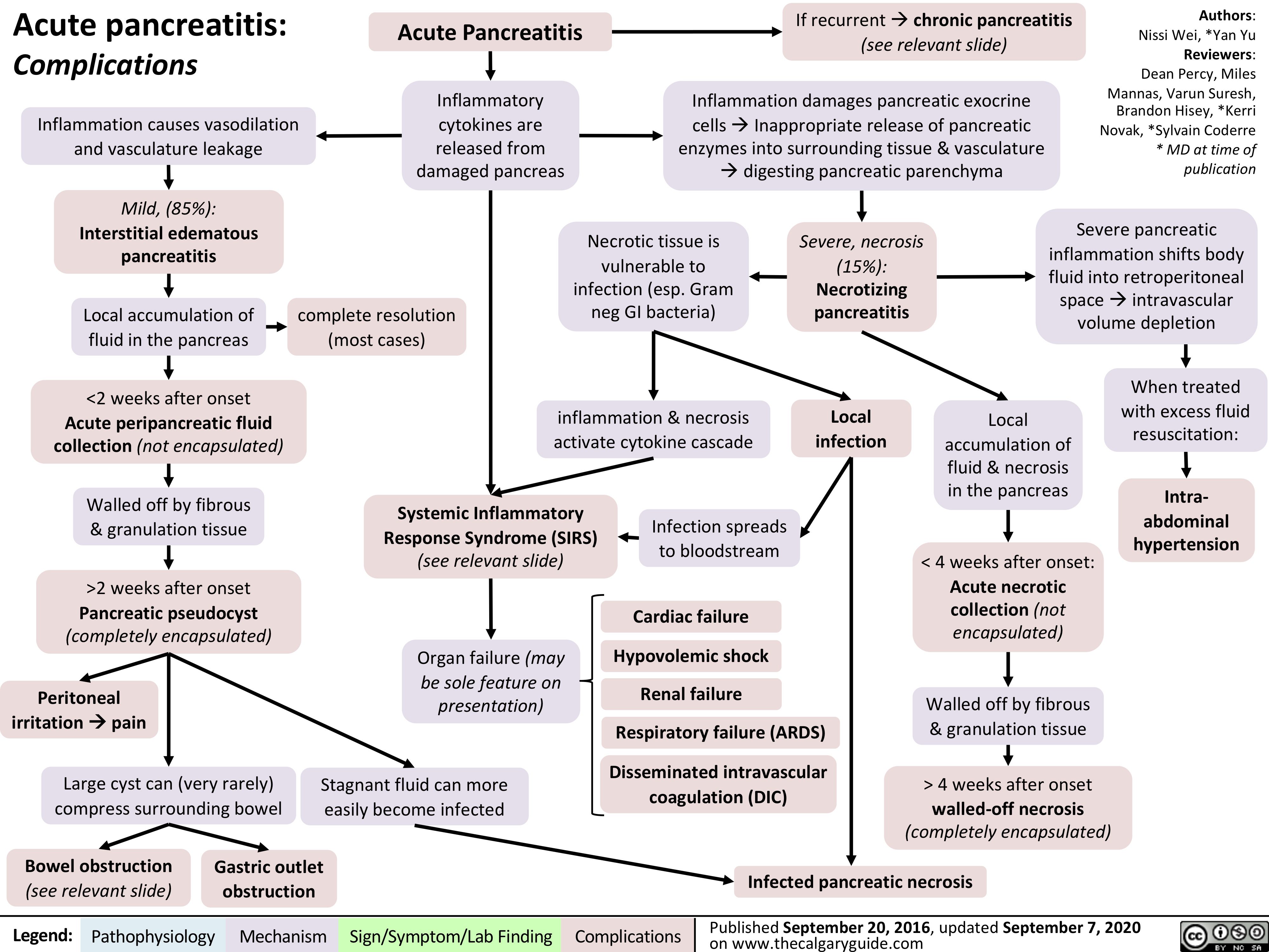 Панкреатит 5. Acute pancreatitis pathogenesis. Acute pancreatitis treatment.