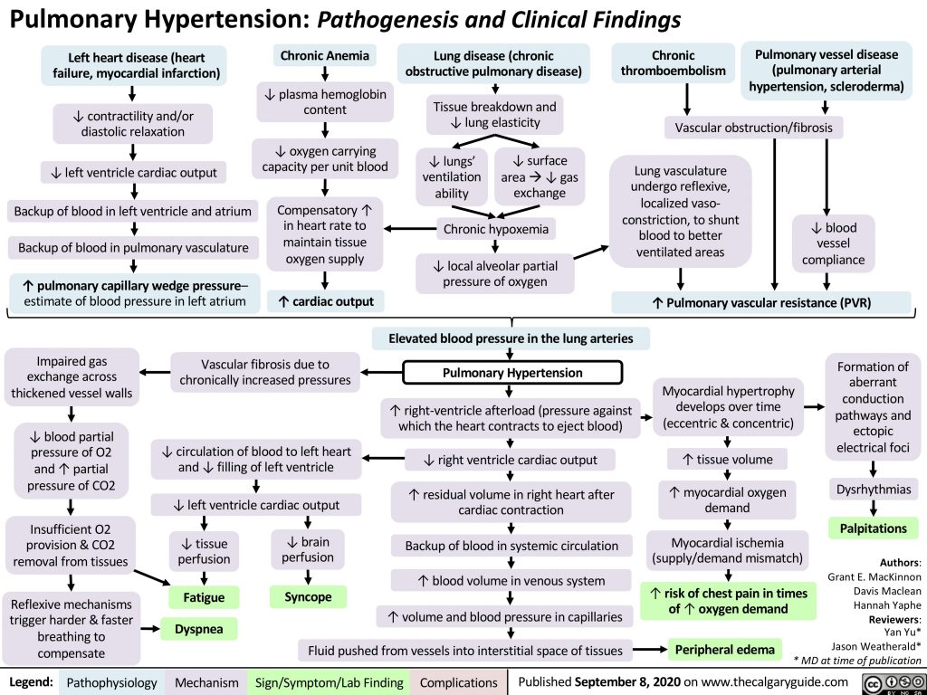 pulmonary hypertension clinical guidelines Updated clinical ...