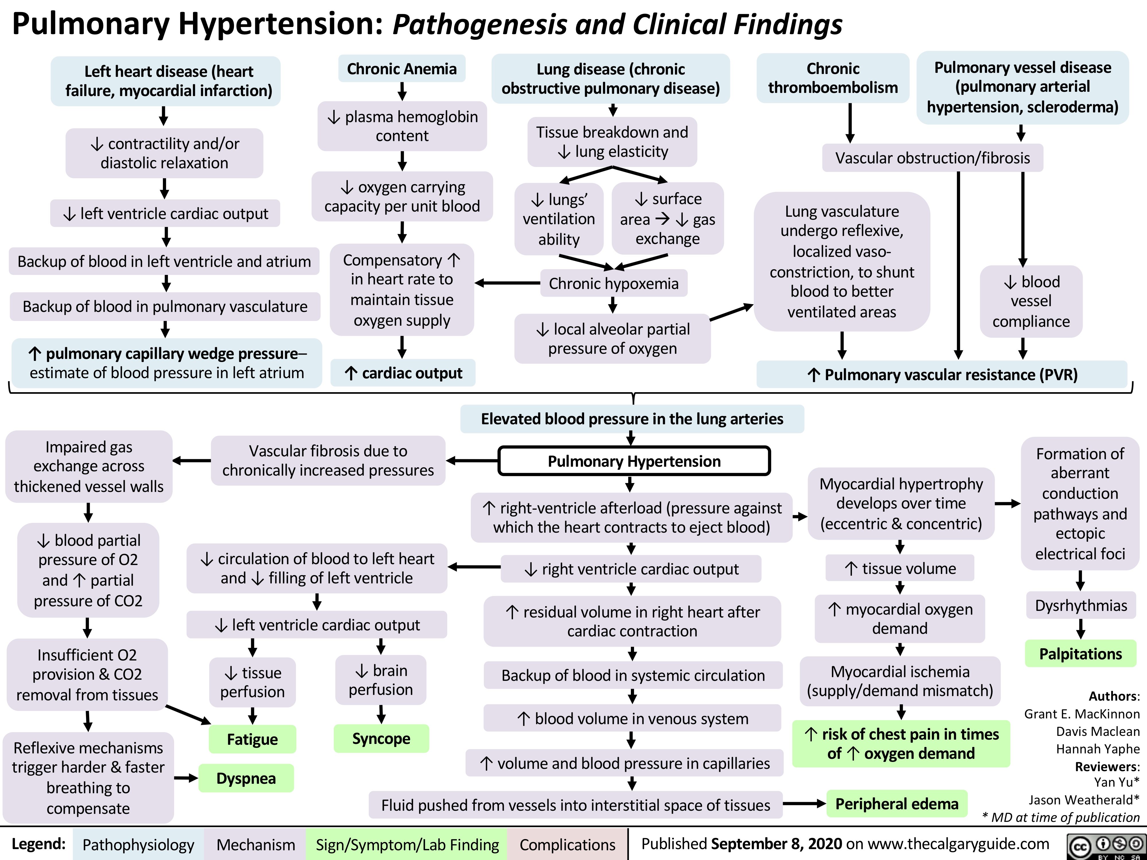 Pulmonary Hypertension: Pathogenesis and Clinical Findings
     Left heart disease (heart failure, myocardial infarction)
↓ contractility and/or diastolic relaxation
↓ left ventricle cardiac output Backup of blood in left ventricle and atrium Backup of blood in pulmonary vasculature
↑ pulmonary capillary wedge pressure– estimate of blood pressure in left atrium
Chronic Anemia
↓ plasma hemoglobin content
↓ oxygen carrying capacity per unit blood
Compensatory ↑ in heart rate to maintain tissue oxygen supply
↑ cardiac output
Lung disease (chronic obstructive pulmonary disease)
Tissue breakdown and ↓ lung elasticity
Chronic thromboembolism
Pulmonary vessel disease (pulmonary arterial hypertension, scleroderma)
         Vascular obstruction/fibrosis
         ↓ lungs’ ventilation ability
↓ surface areaà↓ gas exchange
Lung vasculature undergo reflexive, localized vaso- constriction, to shunt blood to better ventilated areas
          Chronic hypoxemia
↓ local alveolar partial pressure of oxygen
↓ blood vessel compliance
             ↑ Pulmonary vascular resistance (PVR)
    Impaired gas exchange across thickened vessel walls
↓ blood partial pressure of O2 and ↑ partial pressure of CO2
Insufficient O2 provision & CO2 removal from tissues
Reflexive mechanisms trigger harder & faster breathing to compensate
Vascular fibrosis due to chronically increased pressures
↓ circulation of blood to left heart and ↓ filling of left ventricle
↓ left ventricle cardiac output
Elevated blood pressure in the lung arteries Pulmonary Hypertension
↑ right-ventricle afterload (pressure against which the heart contracts to eject blood)
↓ right ventricle cardiac output
↑ residual volume in right heart after cardiac contraction
Backup of blood in systemic circulation ↑ blood volume in venous system
Myocardial hypertrophy develops over time (eccentric & concentric)
↑ tissue volume
↑ myocardial oxygen demand
Myocardial ischemia (supply/demand mismatch)
↑ risk of chest pain in times of ↑ oxygen demand
Peripheral edema
Formation of aberrant conduction pathways and ectopic electrical foci
Dysrhythmias
Palpitations
                                       ↓ tissue perfusion
Fatigue
Dyspnea
↓ brain perfusion
Syncope
Authors: Grant E. MacKinnon Davis Maclean Hannah Yaphe Reviewers: Yan Yu* Jason Weatherald* * MD at time of publication
             ↑ volume and blood pressure in capillaries Fluid pushed from vessels into interstitial space of tissues
       Legend:
 Pathophysiology
 Mechanism
Sign/Symptom/Lab Finding
  Complications
Published September 8, 2020 on www.thecalgaryguide.com
   