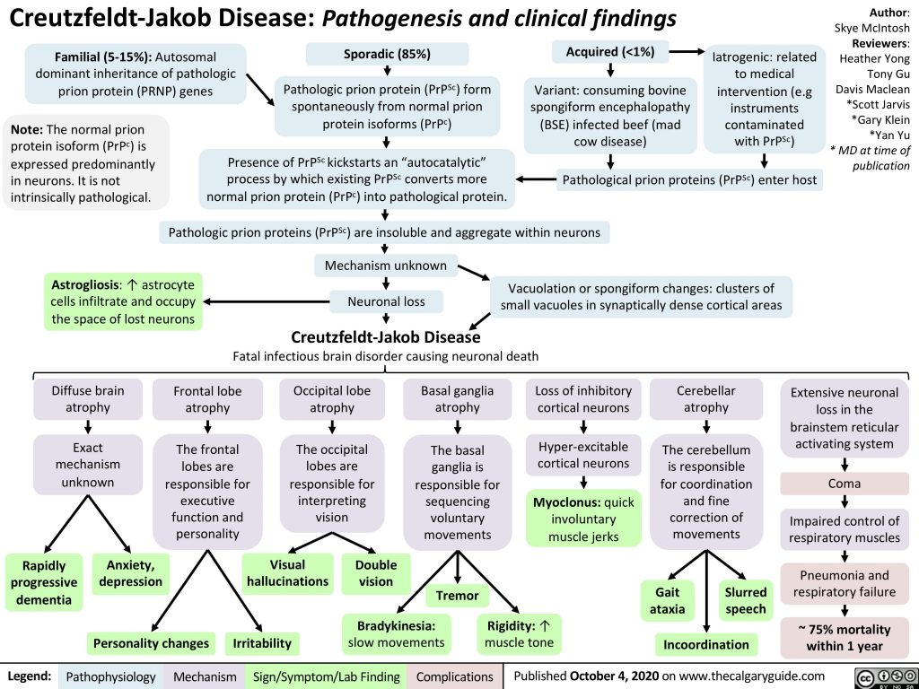 CreutzfeldtJakob Disease Causative Agent at Melanie Danielson blog