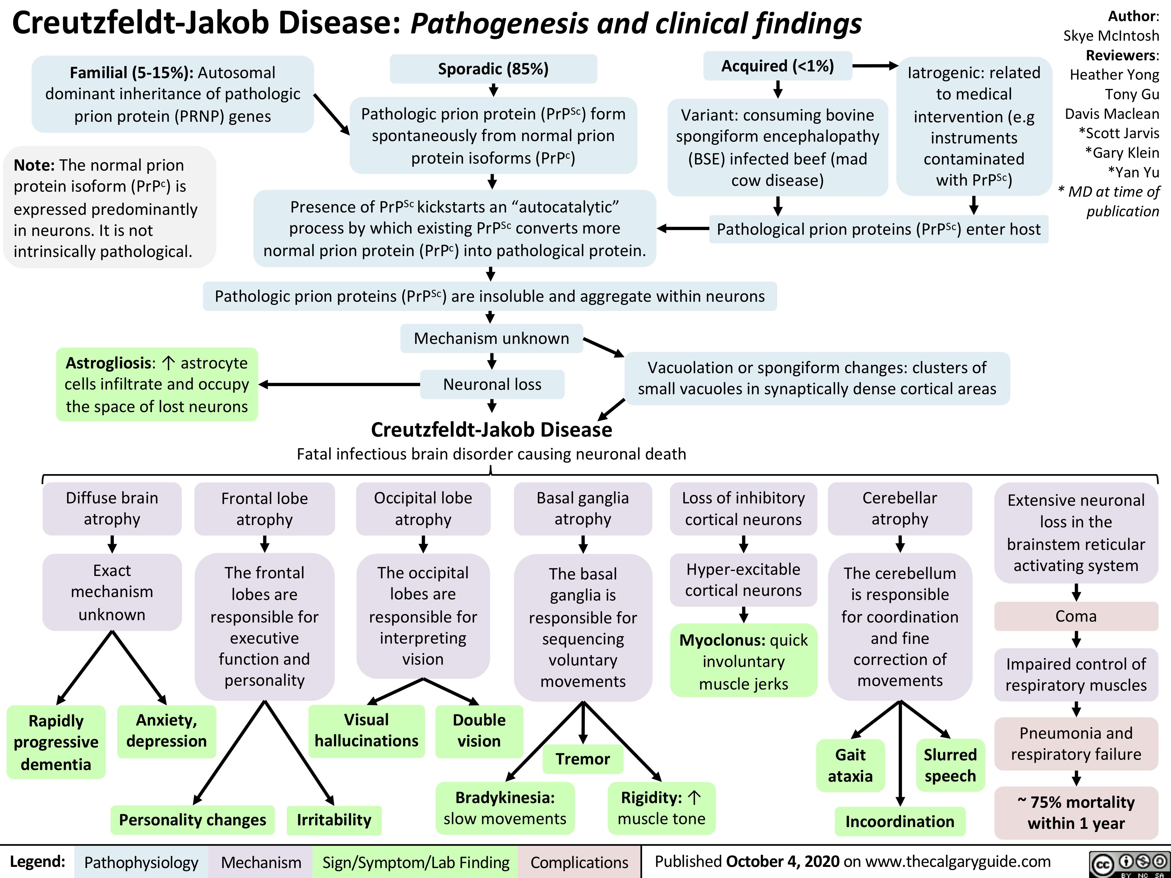 Creutzfeldt-Jakob Disease: Pathogenesis and clinical findings
Author: Skye McIntosh Reviewers: Heather Yong Tony Gu Davis Maclean *Scott Jarvis *Gary Klein *Yan Yu * MD at time of publication
     Familial (5-15%): Autosomal dominant inheritance of pathologic prion protein (PRNP) genes
Sporadic (85%)
Pathologic prion protein (PrPSc) form spontaneously from normal prion protein isoforms (PrPc)
Acquired (<1%)
Variant: consuming bovine spongiform encephalopathy (BSE) infected beef (mad cow disease)
Iatrogenic: related to medical intervention (e.g instruments contaminated with PrPSc)
      Note: The normal prion protein isoform (PrPc) is expressed predominantly in neurons. It is not intrinsically pathological.
Presence of PrPSc kickstarts an “autocatalytic”
process by which existing PrPSc converts more normal prion protein (PrPc) into pathological protein.
Pathological prion proteins (PrPSc) enter host
        Astrogliosis: ↑ astrocyte cells infiltrate and occupy the space of lost neurons
Vacuolation or spongiform changes: clusters of small vacuoles in synaptically dense cortical areas
Pathologic prion proteins (PrPSc) are insoluble and aggregate within neurons Mechanism unknown
       Neuronal loss
Creutzfeldt-Jakob Disease
Fatal infectious brain disorder causing neuronal death
           Diffuse brain atrophy
Exact mechanism unknown
Frontal lobe atrophy
The frontal lobes are responsible for executive function and personality
Occipital lobe atrophy
The occipital lobes are responsible for interpreting vision
Basal ganglia atrophy
The basal
ganglia is responsible for sequencing voluntary movements
Loss of inhibitory cortical neurons
Hyper-excitable cortical neurons
Myoclonus: quick involuntary muscle jerks
Cerebellar atrophy
The cerebellum is responsible for coordination and fine correction of movements
Gait Slurred
Extensive neuronal loss in the brainstem reticular activating system
Coma
Impaired control of respiratory muscles
Pneumonia and respiratory failure
~ 75% mortality within 1 year
                              Rapidly progressive dementia
Anxiety, depression
Visual hallucinations
Double vision
Bradykinesia:
Tremor
       Rigidity: ↑ muscle tone
ataxia
speech Incoordination
    Personality changes
Irritability
slow movements
 Legend:
 Pathophysiology
 Mechanism
Sign/Symptom/Lab Finding
  Complications
Published October 4, 2020 on www.thecalgaryguide.com
   