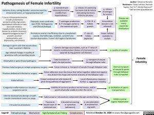 Pathogenesis of female infertility