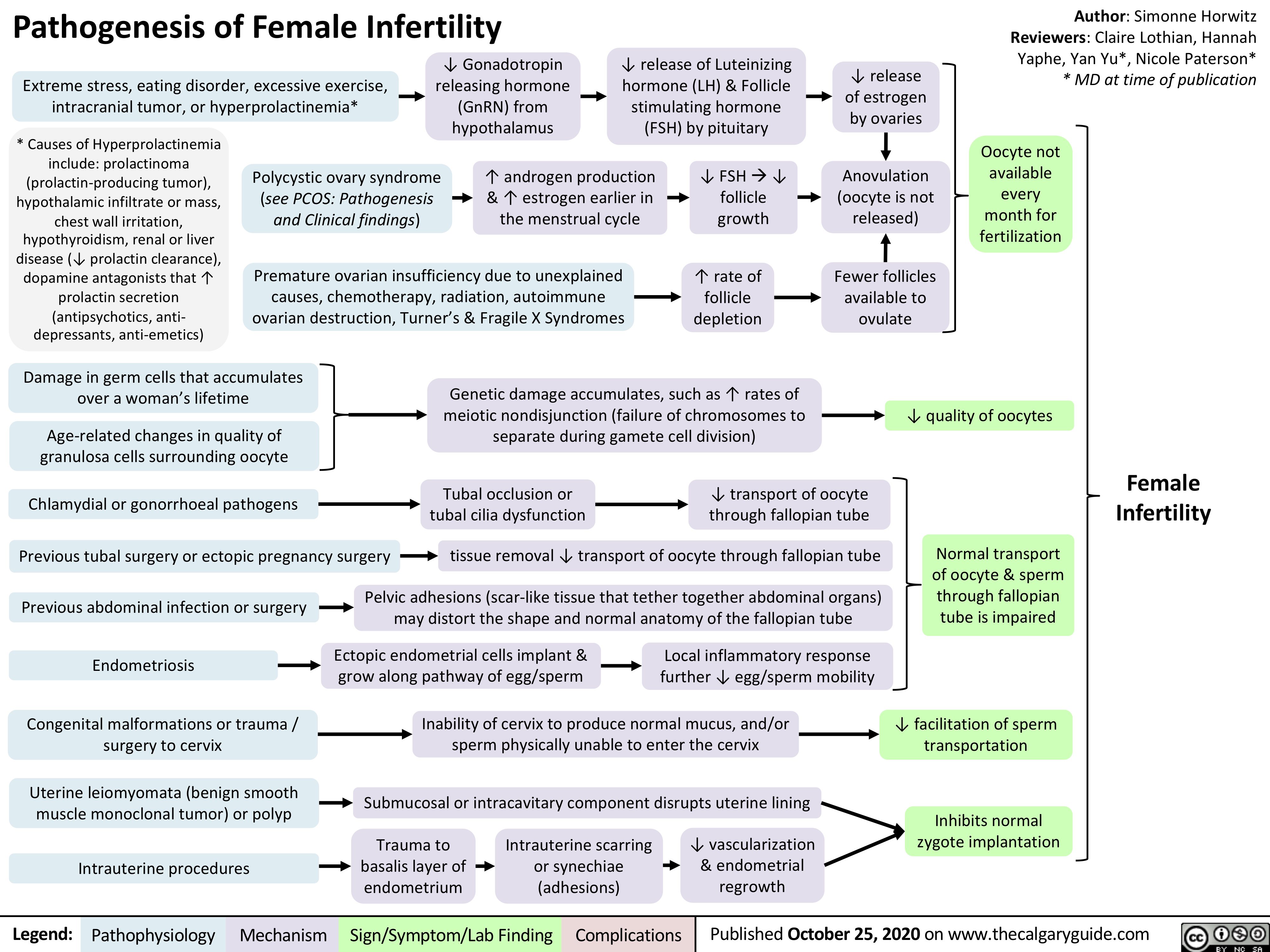 Pathogenesis of Female Infertility
Author: Simonne Horwitz Reviewers: Claire Lothian, Hannah Yaphe, Yan Yu*, Nicole Paterson* * MD at time of publication
     Extreme stress, eating disorder, excessive exercise, intracranial tumor, or hyperprolactinemia*
↓ Gonadotropin releasing hormone (GnRN) from hypothalamus
↓ release of Luteinizing hormone (LH) & Follicle stimulating hormone (FSH) by pituitary
↓ release of estrogen by ovaries
Anovulation (oocyte is not released)
Fewer follicles available to ovulate
      * Causes of Hyperprolactinemia include: prolactinoma (prolactin-producing tumor), hypothalamic infiltrate or mass, chest wall irritation, hypothyroidism, renal or liver disease (↓ prolactin clearance), dopamine antagonists that ↑ prolactin secretion (antipsychotics, anti- depressants, anti-emetics)
Polycystic ovary syndrome (see PCOS: Pathogenesis and Clinical findings)
↑ androgen production & ↑ estrogen earlier in the menstrual cycle
↓ FSHà↓ follicle growth
↑ rate of follicle depletion
Oocyte not available every month for fertilization
            Premature ovarian insufficiency due to unexplained causes, chemotherapy, radiation, autoimmune ovarian destruction, Turner’s & Fragile X Syndromes
    Damage in germ cells that accumulates over a woman’s lifetime
Age-related changes in quality of granulosa cells surrounding oocyte
Genetic damage accumulates, such as ↑ rates of meiotic nondisjunction (failure of chromosomes to separate during gamete cell division)
Tubal occlusion or ↓ transport of oocyte tubal cilia dysfunction through fallopian tube
↓ quality of oocytes
Normal transport of oocyte & sperm through fallopian tube is impaired
↓ facilitation of sperm transportation
Inhibits normal zygote implantation
        Chlamydial or gonorrhoeal pathogens
Previous tubal surgery or ectopic pregnancy surgery       tissue removal ↓ transport of oocyte through fallopian tube
Female Infertility
     Previous abdominal infection or surgery Endometriosis
Congenital malformations or trauma / surgery to cervix
Uterine leiomyomata (benign smooth muscle monoclonal tumor) or polyp
Intrauterine procedures
Pelvic adhesions (scar-like tissue that tether together abdominal organs) may distort the shape and normal anatomy of the fallopian tube
Ectopic endometrial cells implant & Local inflammatory response grow along pathway of egg/sperm further ↓ egg/sperm mobility
Inability of cervix to produce normal mucus, and/or sperm physically unable to enter the cervix
Submucosal or intracavitary component disrupts uterine lining
                    Trauma to basalis layer of endometrium
Intrauterine scarring or synechiae (adhesions)
↓ vascularization & endometrial regrowth
     Legend:
 Pathophysiology
 Mechanism
Sign/Symptom/Lab Finding
  Complications
Published October 25, 2020 on www.thecalgaryguide.com
   