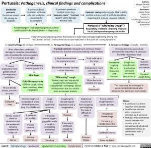 Pertussis pathogenesis clinical findings complications