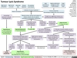 Tumour-Lysis-Syndrome