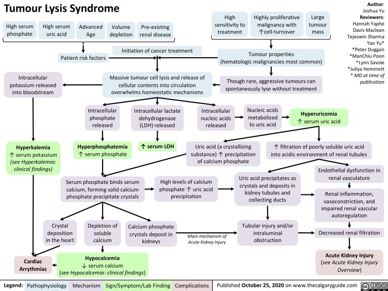 Tumour Lysis Syndrome | Calgary Guide