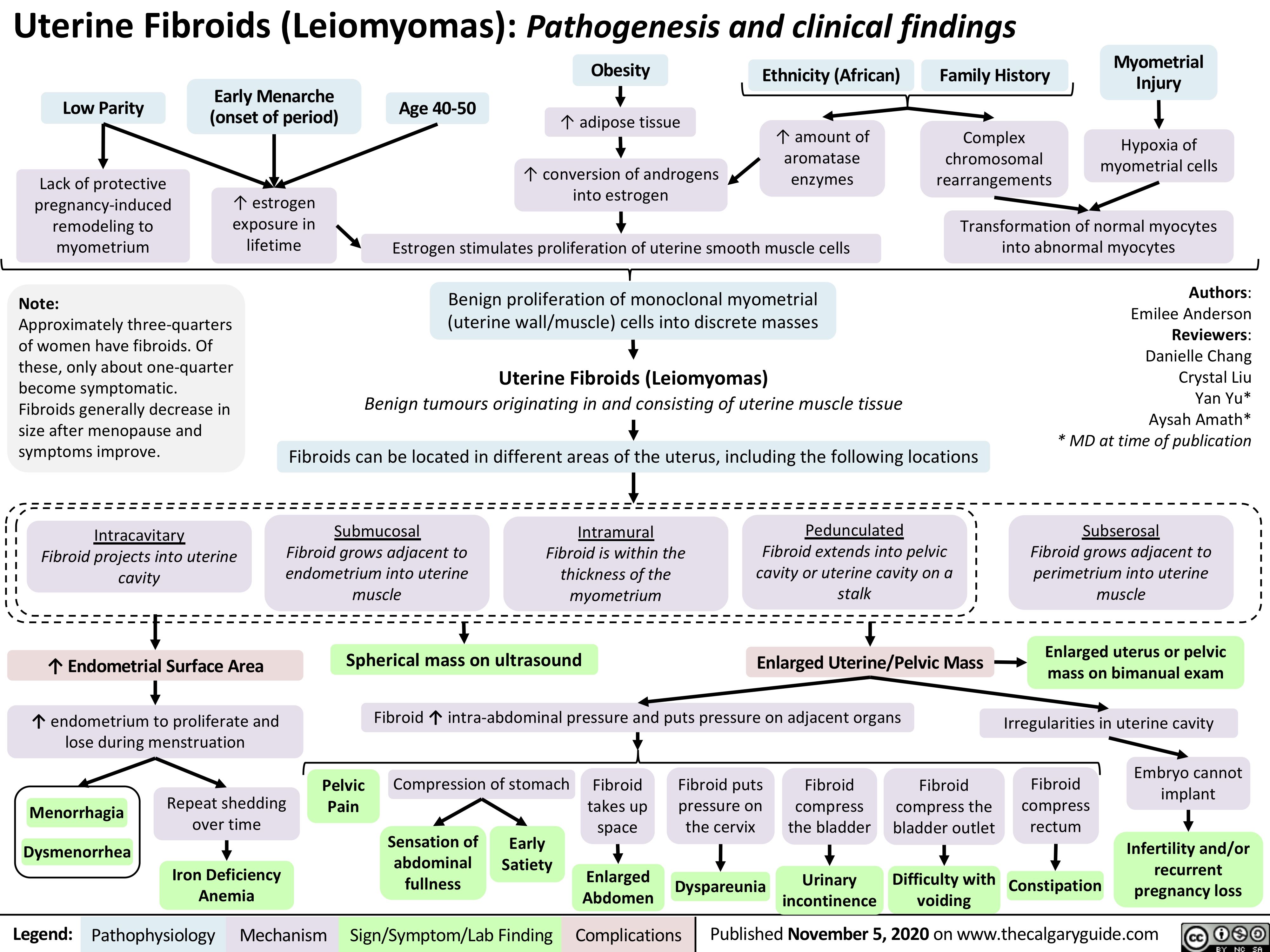 Uterine Fibroids (Leiomyomas): Pathogenesis and clinical findings
      Early Menarche (onset of period)
↑ estrogen exposure in
Obesity
↑ adipose tissue
↑ conversion of androgens into estrogen
Ethnicity (African)
↑ amount of aromatase enzymes
Family History
Complex chromosomal rearrangements
Myometrial Injury
Hypoxia of myometrial cells
   Low Parity
Lack of protective pregnancy-induced remodeling to myometrium
Note:
Approximately three-quarters of women have fibroids. Of these, only about one-quarter become symptomatic. Fibroids generally decrease in size after menopause and symptoms improve.
Intracavitary
Fibroid projects into uterine cavity
↑ Endometrial Surface Area ↑ endometrium to proliferate and
lose during menstruation
Age 40-50
                  lifetime       Estrogen stimulates proliferation of uterine smooth muscle cells
Benign proliferation of monoclonal myometrial (uterine wall/muscle) cells into discrete masses
Uterine Fibroids (Leiomyomas)
Benign tumours originating in and consisting of uterine muscle tissue
Fibroids can be located in different areas of the uterus, including the following locations
Authors: Emilee Anderson Reviewers: Danielle Chang Crystal Liu Yan Yu* Aysah Amath* * MD at time of publication
Subserosal
Fibroid grows adjacent to perimetrium into uterine muscle
Enlarged uterus or pelvic mass on bimanual exam
Irregularities in uterine cavity
Transformation of normal myocytes into abnormal myocytes
            Submucosal
Fibroid grows adjacent to endometrium into uterine muscle
Intramural
Fibroid is within the thickness of the myometrium
Pedunculated
Fibroid extends into pelvic cavity or uterine cavity on a stalk
            Spherical mass on ultrasound
Fibroid ↑ intra-abdominal pressure and puts pressure on adjacent organs
Enlarged Uterine/Pelvic Mass
                      Repeat shedding over time
Iron Deficiency Anemia
Pelvic Pain
Compression of stomach
Fibroid takes up space
Enlarged Abdomen
Fibroid puts pressure on the cervix
Dyspareunia
Fibroid compress the bladder
Urinary incontinence
Fibroid compress the bladder outlet
Difficulty with voiding
Fibroid compress rectum
Constipation
Embryo cannot implant
Infertility and/or recurrent pregnancy loss
 Menorrhagia Dysmenorrhea
Sensation of abdominal fullness
Early Satiety
                 Legend:
 Pathophysiology
 Mechanism
Sign/Symptom/Lab Finding
  Complications
Published November 5, 2020 on www.thecalgaryguide.com
   