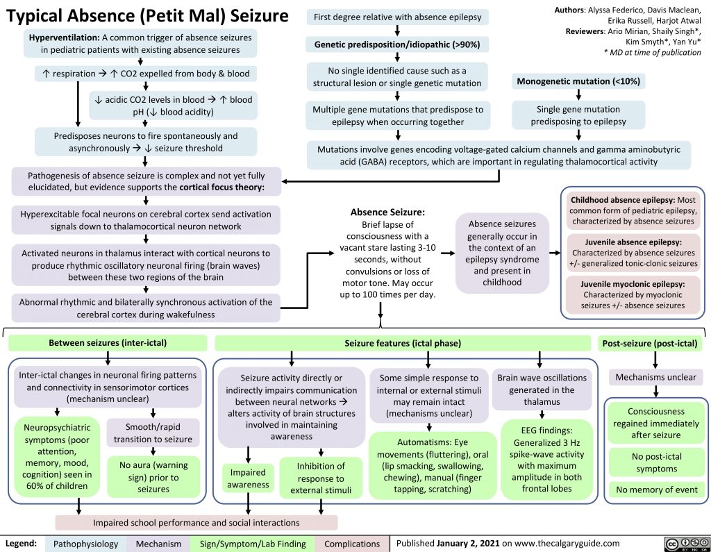 Typical Absence (Petit Mal) Seizures Calgary Guide